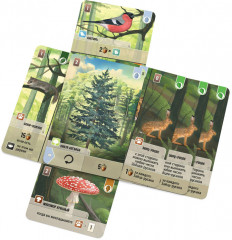 Настольная игра «Смешанный лес» - Фото 6