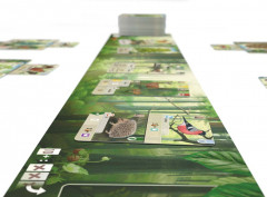 Настольная игра «Смешанный лес» - Фото 8