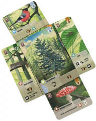 Настольная игра «Смешанный лес» - Фото 9