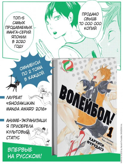 Волейбол! Книга 1. Хината и Кагэяма. Вид с высоты