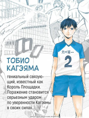 Волейбол! Книга 1. Хината и Кагэяма. Вид с высоты - Фото 6