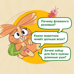 Игра настольная «Квиз. Животные» - Фото 1