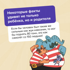 Игра настольная «Квиз. Животные» - Фото 6