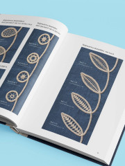 Румынское кружево. Вязание крючком + игольная техника. Ажурное чудо в японском стиле! Техника и 28 мотивов - Фото 8