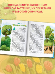 Тайна покинутого сада - Фото 1