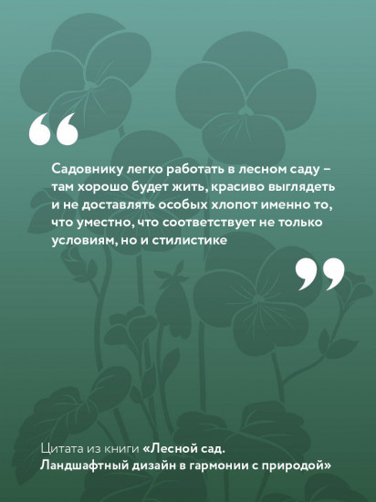 Лесной сад. Ландшафтный дизайн в гармонии с природой