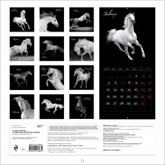 Календарь настенный на 2026 год «В танце с ветром. 12 грациозных портретов лошадей» - Фото 1