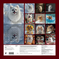 Календарь настенный на 2026 год «Шпицы» - Фото 1