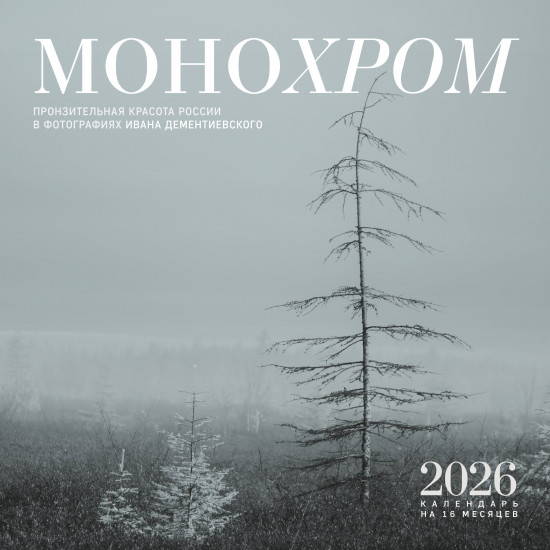 Календарь настенный на 2026 год «Монохром. Пронзительная красота России в фотографиях Ивана Дементиевского»