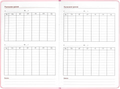 Записная книга учителя «Весенний город» - Фото 11