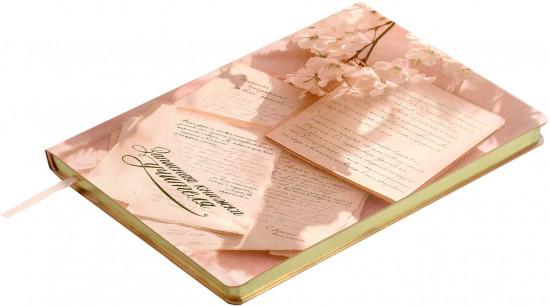 Записная книга учителя «Рукопись»