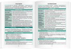 Справочник в таблицах. Литература. 7-11 класс - Фото 3