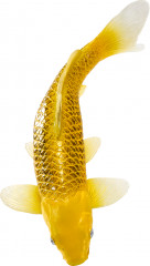 Фигурка «Карп кои — Кин Мацуба» - Фото 8