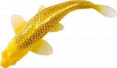 Фигурка «Карп кои — Кин Мацуба» - Фото 11