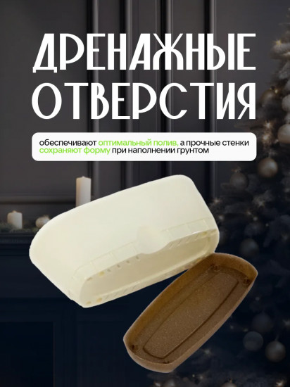 Горшок для суккулентов