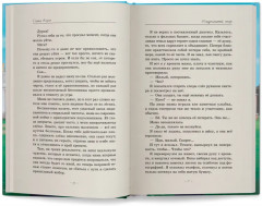 Неидеальный спор - Фото 11