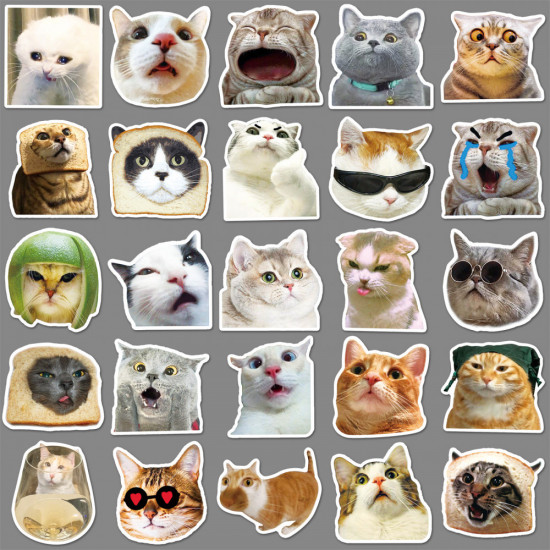 Наклейки «Мемы. Котики»