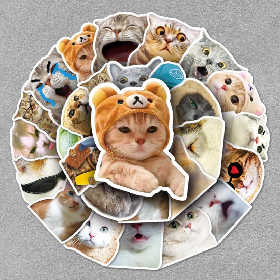 Наклейки «Мемы. Котики»