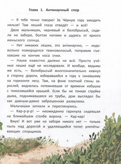 Тайна Черной горы, или Каникулы в Чудесатово