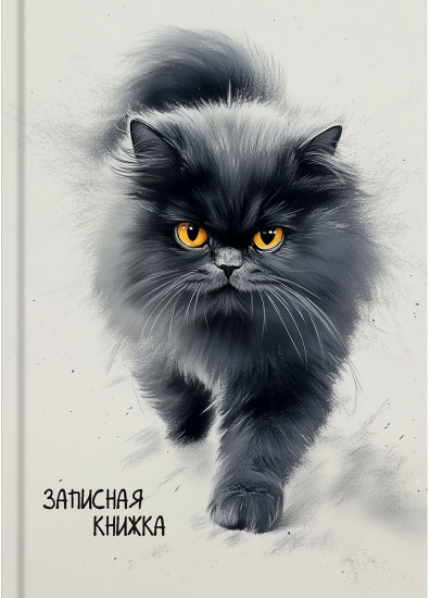 Книжка записная «Пушистый кот»