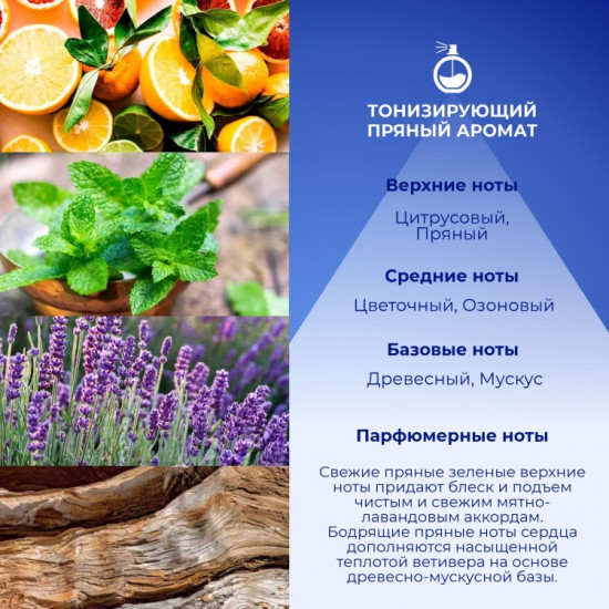 Парфюмированная вода для мужчин «Blue»
