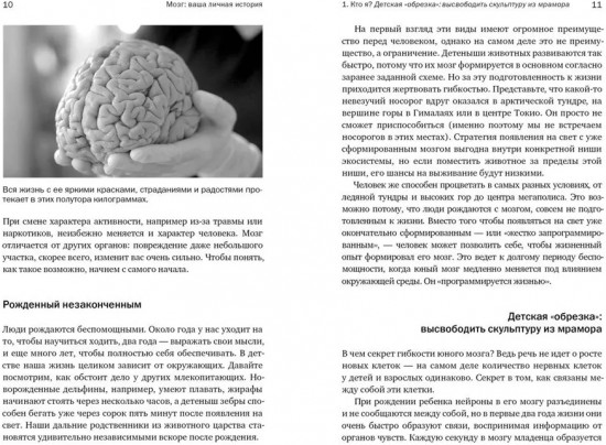 Мозг. Ваша личная история