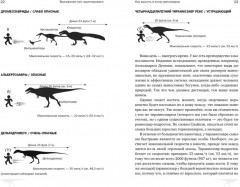 Выживание (не) гарантировано. Путешествие во времени вместе с историком - Фото 2