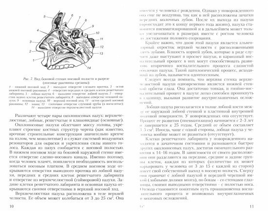 Советы ЛОР врача. Заболевания уха, горла и носа