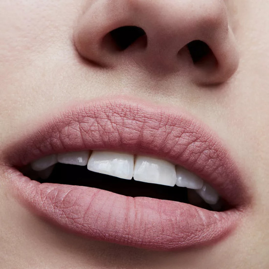 Помада для губ «Powder Kiss Lipstick», тон Reverence