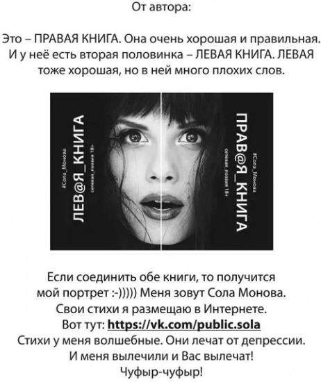 Правая книга. Сетевая поэзия