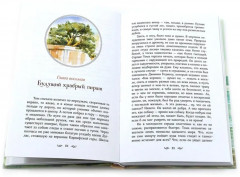 Приключения мальчишек. Комплект из 3 книг - Фото 10