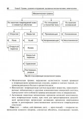 Практикум по первой помощи - Фото 4