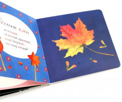 Где твоё деревце? Где твой вкус? Комплект из 2 книг - Фото 7