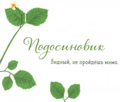 Где твой вкус? Где твой гриб? Комплект из 2 книг - Фото 3