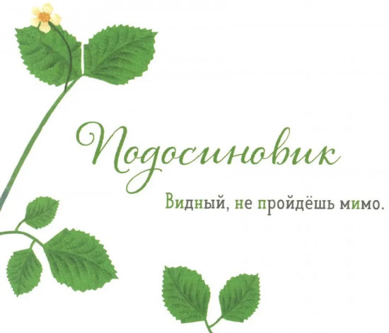 Где твой вкус? Где твой гриб? Комплект из 2 книг