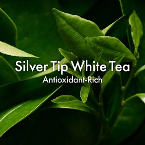 Пенка для умывания лица «A Perfect World Antioxidant Cleanser With White Tea»