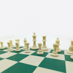 Шахматы - Фото 7