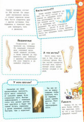 Тело человека. Мой атлас с наклейками - Фото 2