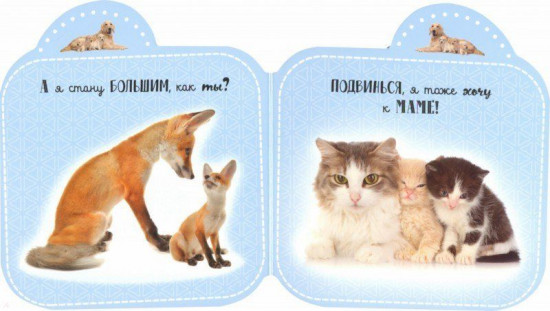 Лапочки. Мамы и малыши