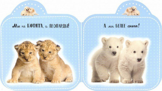 Лапочки. Пушистые малыши