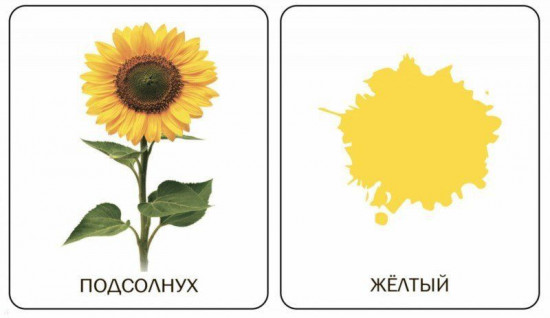 Цвета