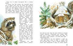 Большой Кыш - Фото 5