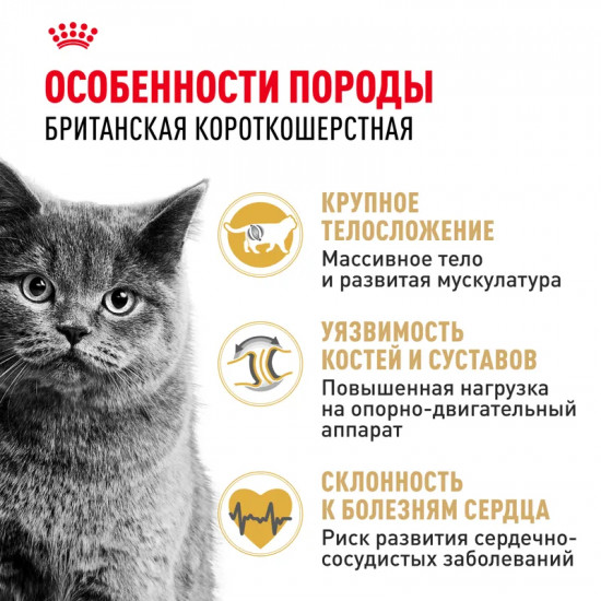 Корм для кошек породы британская короткошерстная