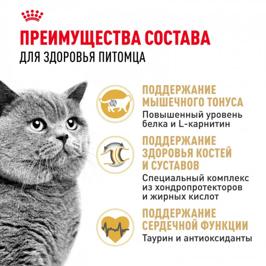 Корм для кошек породы британская короткошерстная
