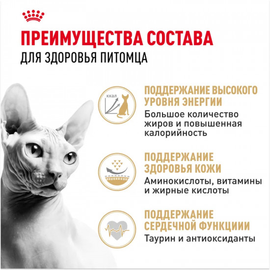 Корм для взрослых кошек породы сфинкс «Adult Sphynx»