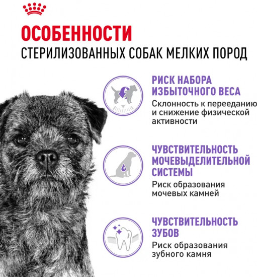 Корм сухой для взрослых стерилизованных собак мелких пород «Mini Sterilised»