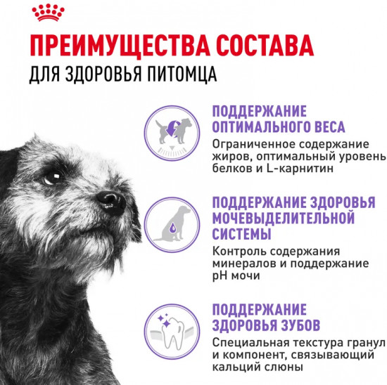 Корм сухой для взрослых стерилизованных собак мелких пород «Mini Sterilised»
