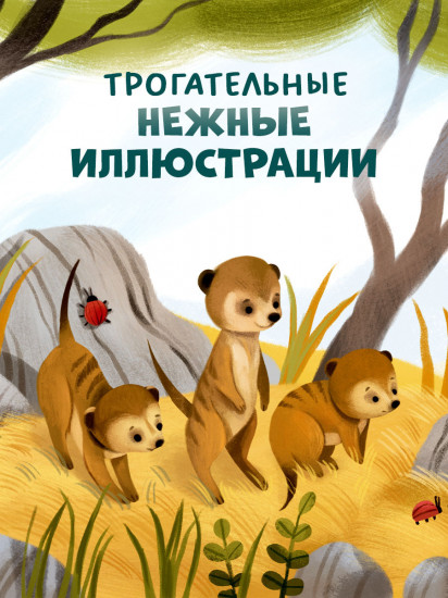 Детский сад для зверят