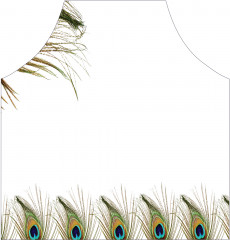 Фартук для кухни «Марш перьев» - Фото 1