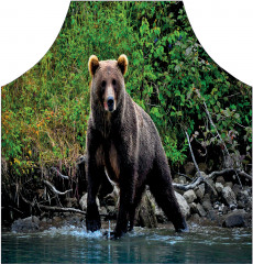 Фартук для кухни «Медведь в реке» - Фото 1